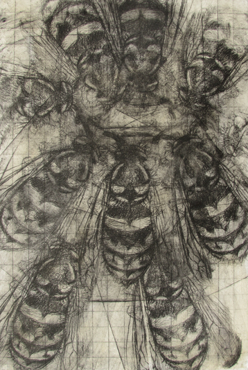 Frenzy, drypoint, watercolour, chin-colle, one-of-one, 8x12 inches.