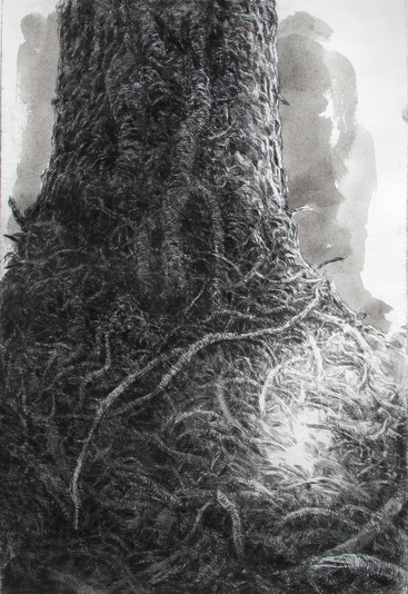 Trunk, 8x12 inch drypoint intaglio print edition of 20