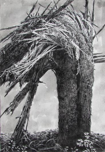Shattered, drypoint and watercolour tint 8x12 inches edition of 20
