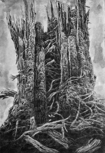 Stump, drypoint and watercolour, 8x12 inches