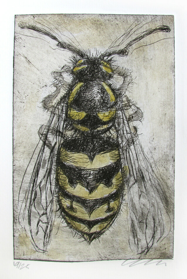 Yellow Jacket, drypoint and watercolour tint edition of 25 40.00