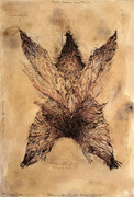Winged Arrangement, drypoint, watercolour, tea, 8x12 inches edition of 20