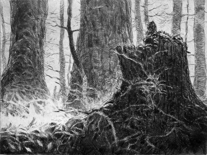 Trees and Stump, drypoint and watercolour tint, 8x6 inches, edition of ten