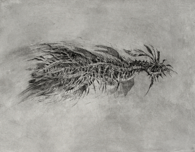 Floater, drypoint and watercolour tint, 8x10 inches, edition of twenty