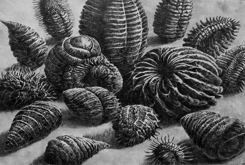 Humming Ancient forms, drypoint with watercolour tint, 7.5 x 9.5 in. edition of five