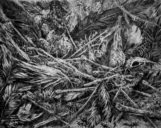 Crash Site, drypoint with watercolour tint, 8x10 in. edition of five