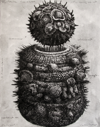 Vessel, drypoint and watercolour tint, 8x12 inches, edition of twenty
